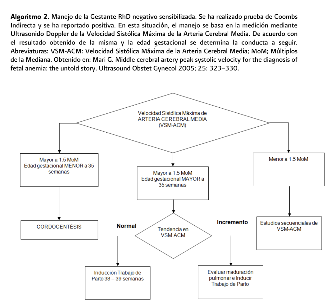 6. Algoritmos 2 - GPC-IMSS-307